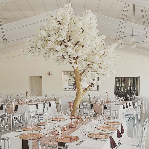 Giant Cherry Blossom Tree